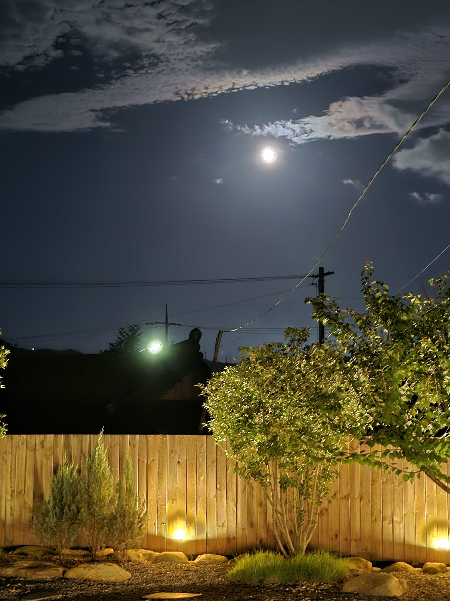 🌙 젊은 커플에게 사랑받는 이유